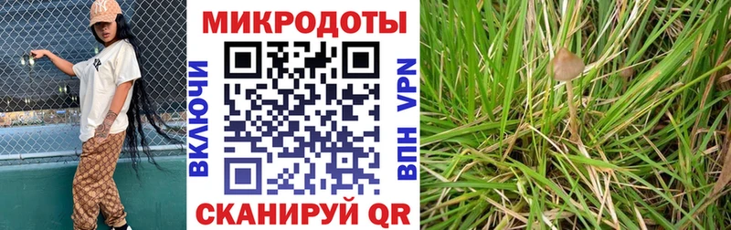 Псилоцибиновые грибы прущие грибы  кракен   darknet телеграм  Усолье-Сибирское 