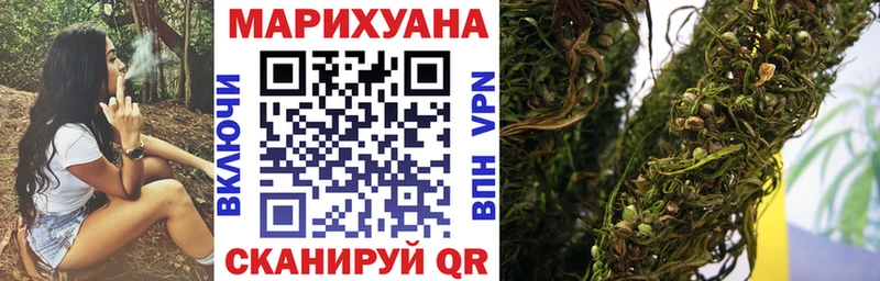 Конопля гибрид  Усолье-Сибирское 